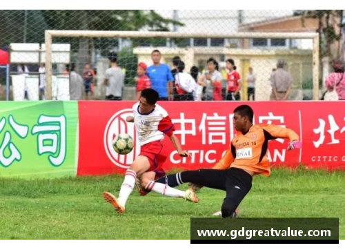 巅峰之路：球场传奇与梦想成真